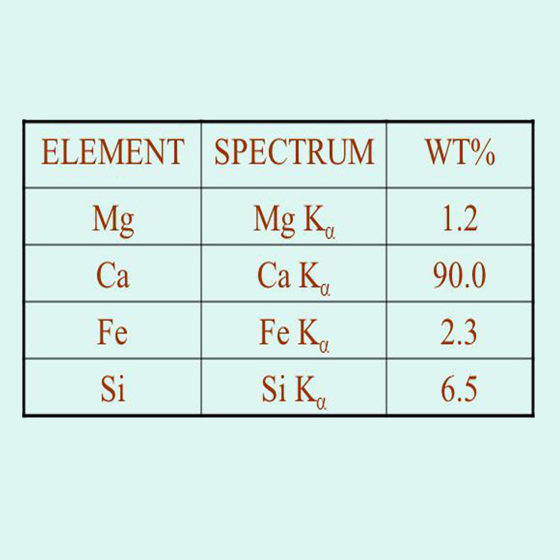 Exam COF-C02 Simulator Free