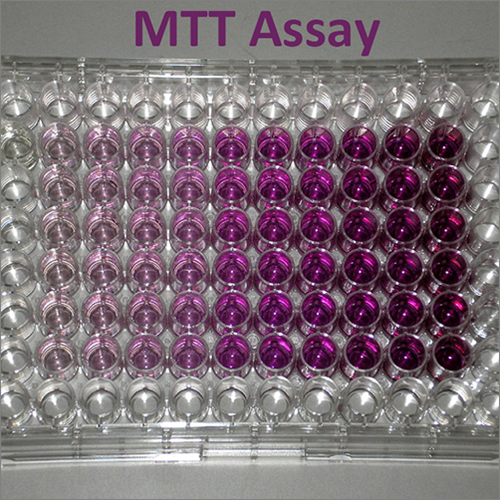 Mtt Assay Cet Scientific Services Pte Ltd